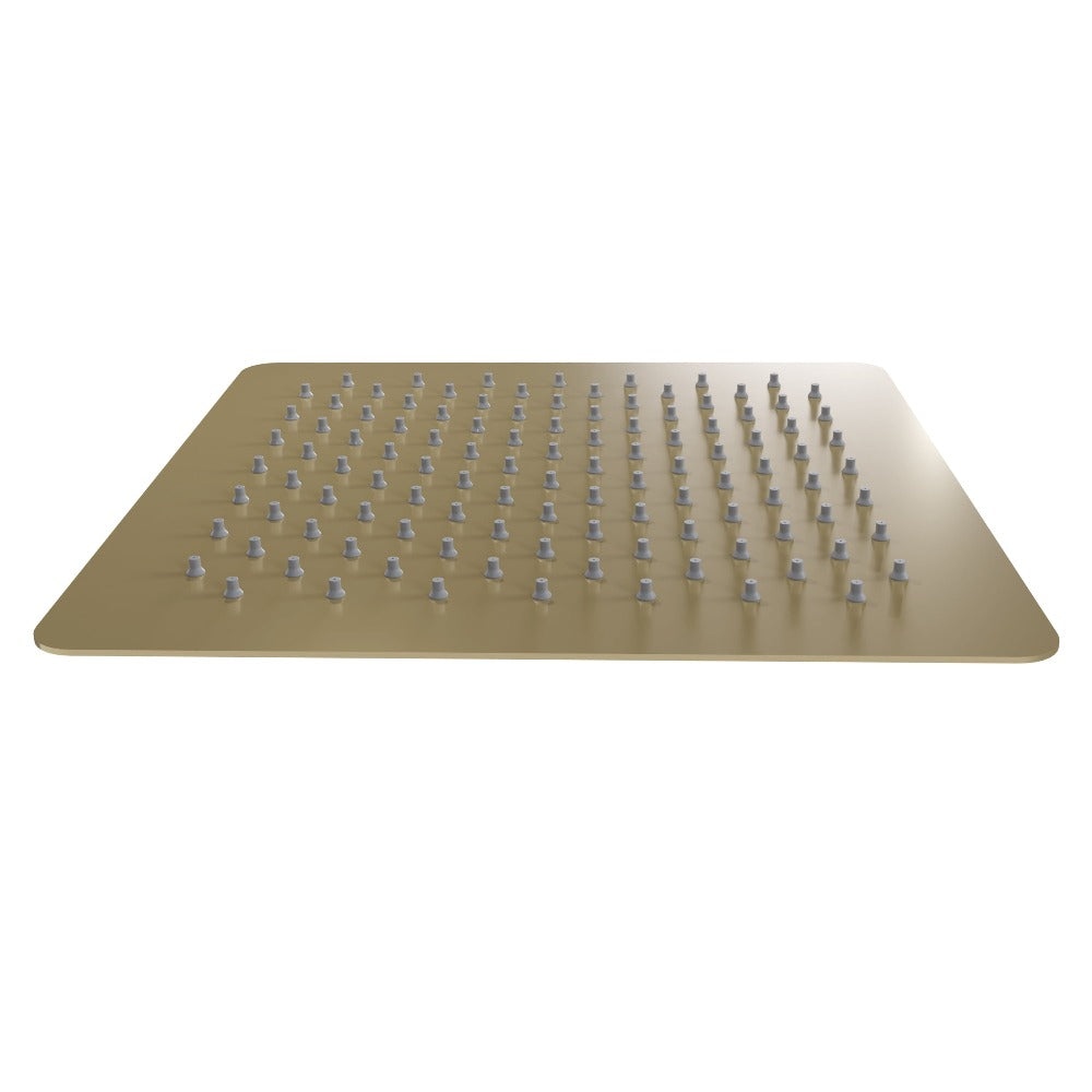 ZLINE Autograph Edition Bliss 12 in. Rainfall Shower Head in Champagne Bronze (BLS-H12-CB)
