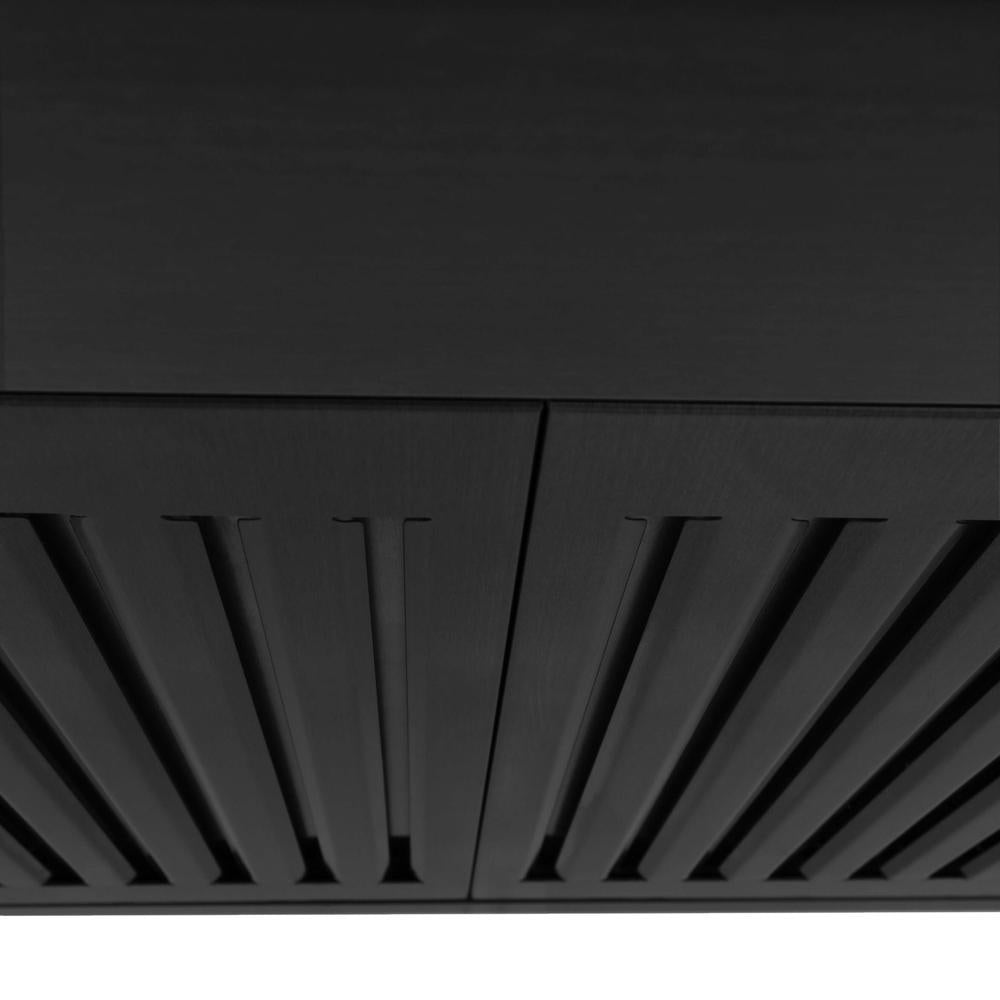 ZLINE Kitchen Package with 30 in. Black Stainless Steel Rangetop and 30 in. Convertible Range Hood (2KP-RTBRH30)
