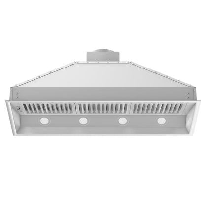 ZLINE 46 in. Ducted Wall Mount Range Hood Insert in Outdoor Approved Stainless Steel (698-304-46)