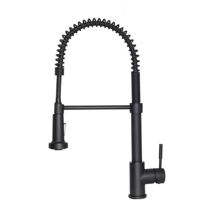 ZLINE Autograph Edition Apollo Pull Down Spring Single Handle Kitchen Faucet in Matte Black (APL-KF-MB)