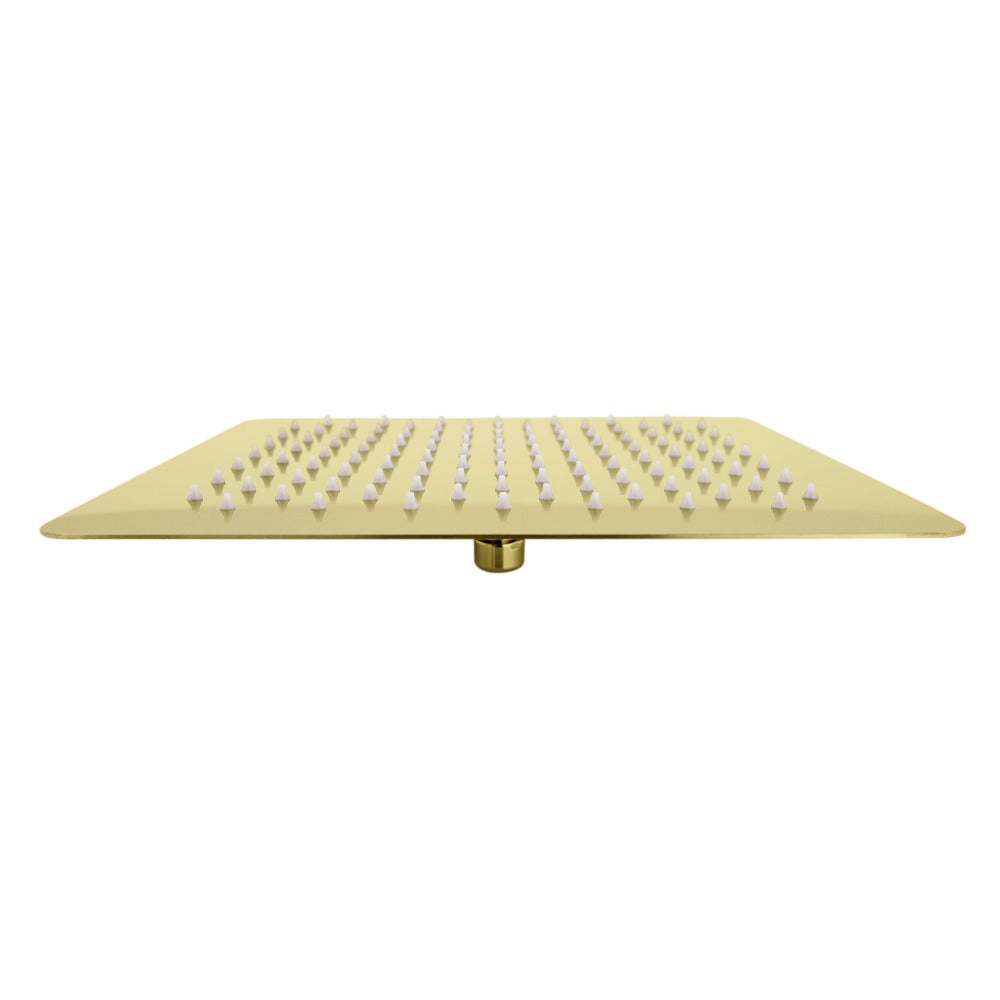 ZLINE Autograph Edition Bliss 12 in. Rainfall Shower Head in Polished Gold (BLS-H12-PG)