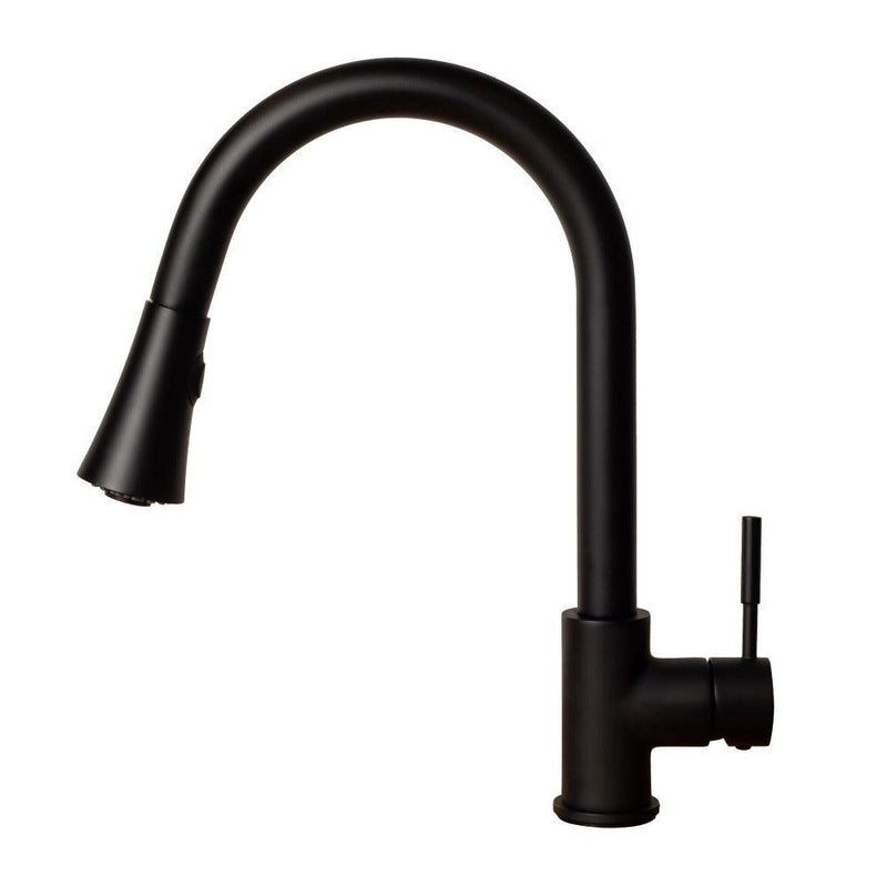 ZLINE Autograph Edition Edison Pull Down Single Handle Kitchen Faucet in Matte Black (EDS-KF-MB)