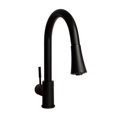 ZLINE Autograph Edition Edison Pull Down Single Handle Kitchen Faucet in Matte Black (EDS-KF-MB)