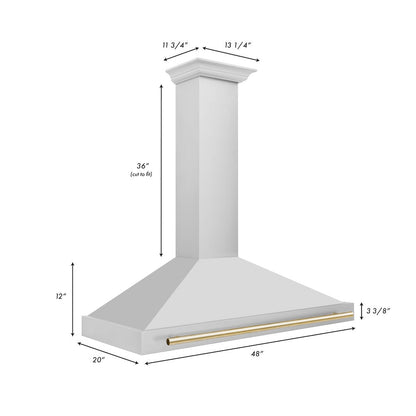 ZLINE Autograph Edition 48 in. Convertible Stainless Steel Range Hood with Stainless Steel Shell and Polished Gold Accents (KB4STZ-48-G)