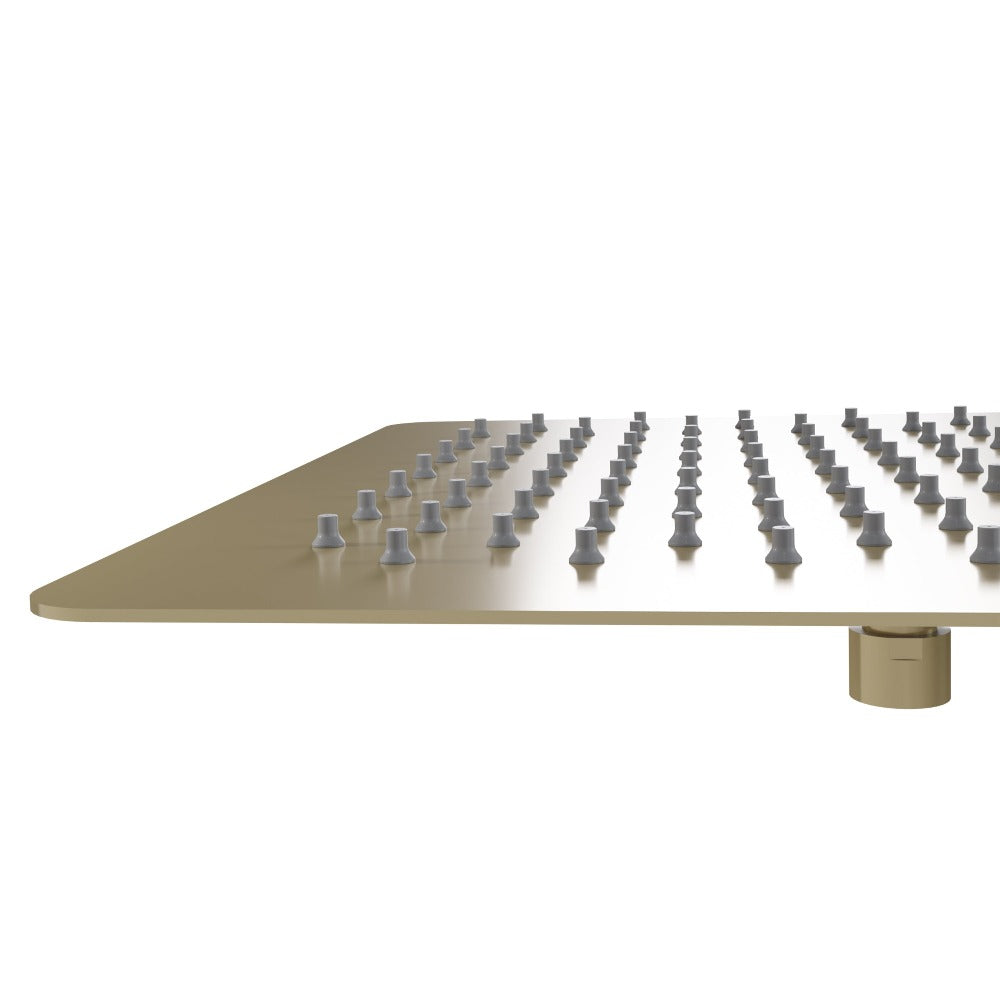 ZLINE Autograph Edition Bliss 12 in. Rainfall Shower Head in Champagne Bronze (BLS-H12-CB)