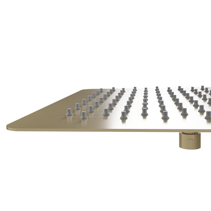 ZLINE Autograph Edition Bliss 12 in. Rainfall Shower Head in Champagne Bronze (BLS-H12-CB)