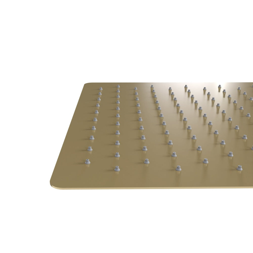 ZLINE Autograph Edition Bliss 16 in. Rainfall Shower Head in Champagne Bronze (BLS-H16-CB)