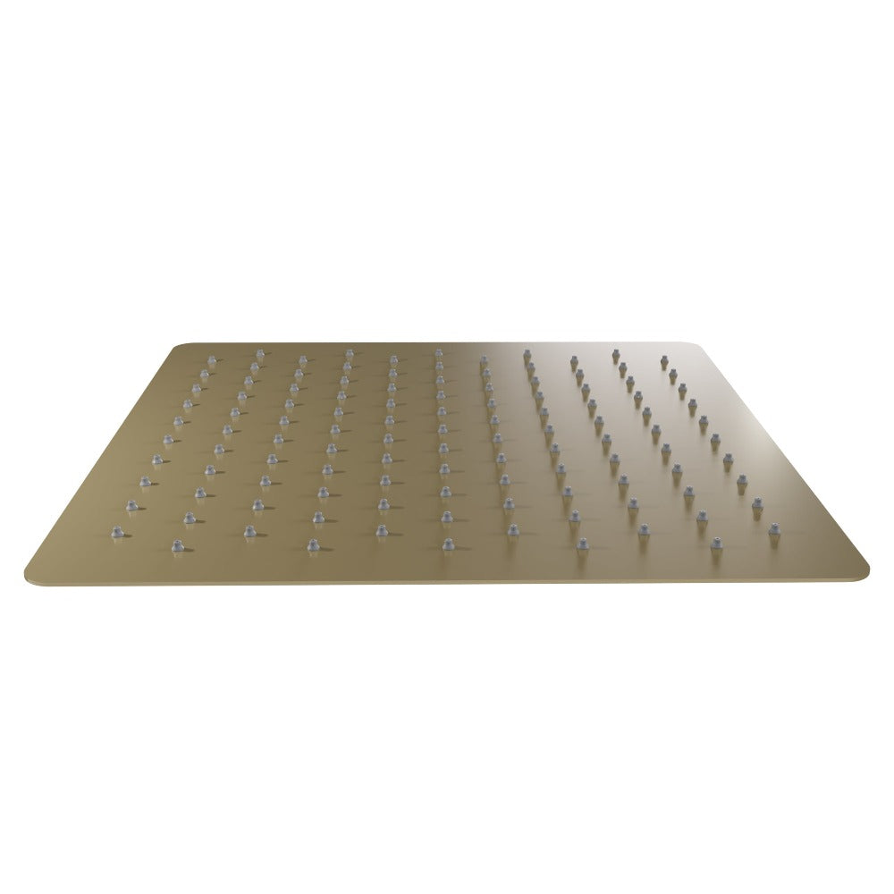 ZLINE Autograph Edition Bliss 16 in. Rainfall Shower Head in Champagne Bronze (BLS-H16-CB)