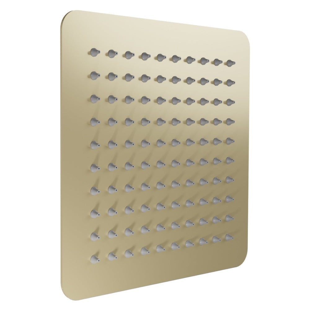 ZLINE Autograph Edition Bliss 8 in. Rainfall Shower Head in Champagne Bronze (BLS-H8-CB)