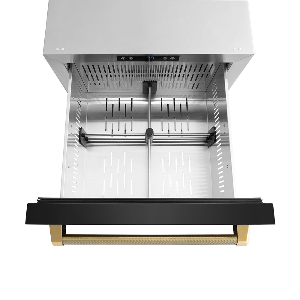 ZLINE Autograph Edition 24 in. Touchstone 168 Can Outdoor-Rated Dual Refrigerator Drawer with Black Stainless Steel Doors and Polished Gold Helix Handles (RDSOZ-BS-24-KG)