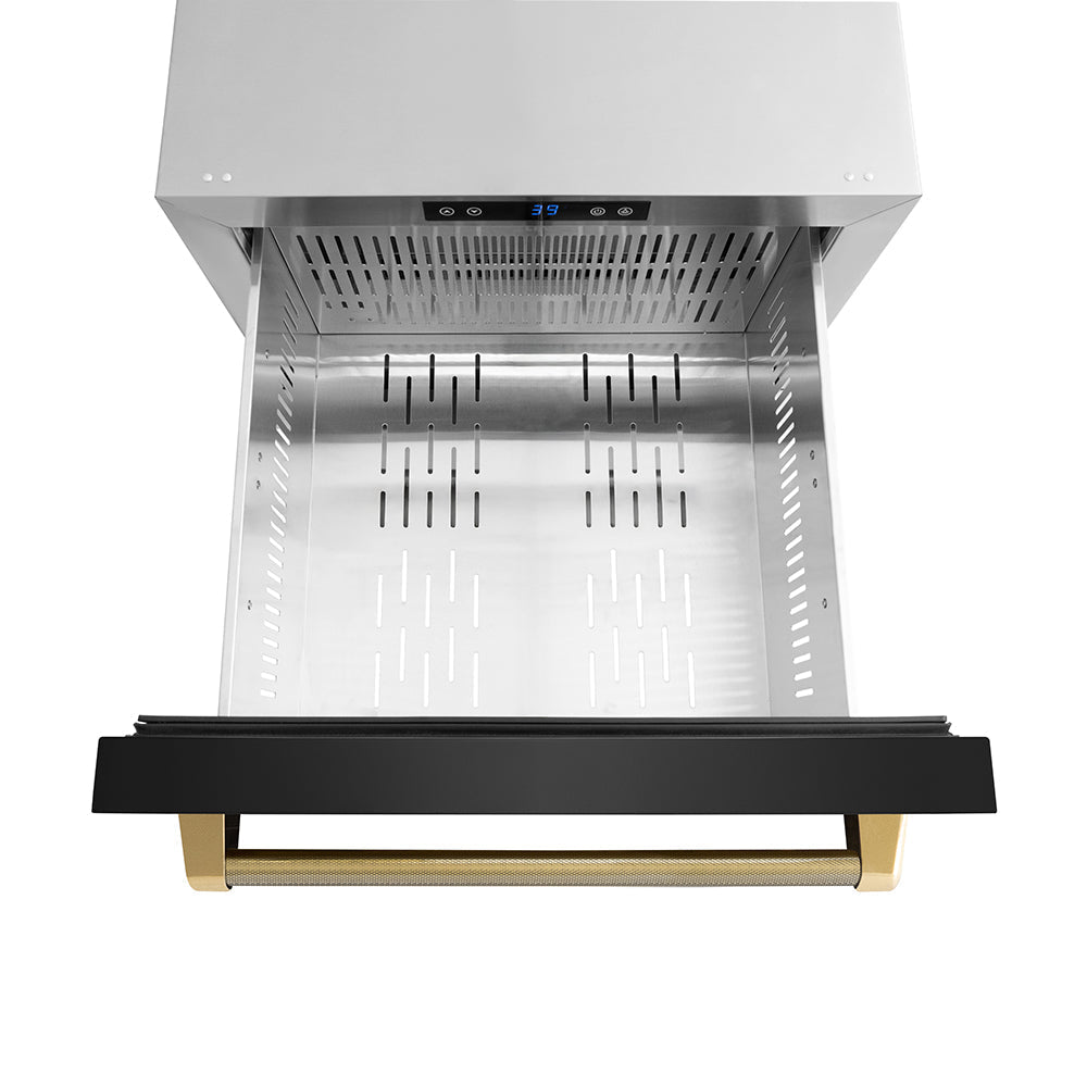 ZLINE Autograph Edition 24 in. Touchstone 168 Can Outdoor-Rated Dual Refrigerator Drawer with Black Stainless Steel Doors and Polished Gold Helix Handles (RDSOZ-BS-24-KG)
