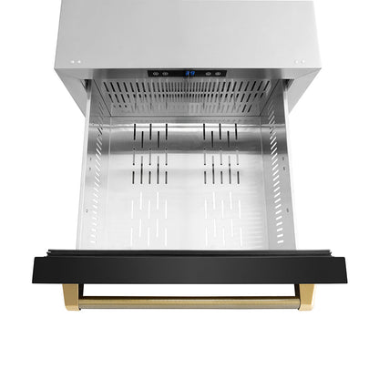 ZLINE Autograph Edition 24 in. Touchstone 168 Can Outdoor-Rated Dual Refrigerator Drawer with Black Stainless Steel Doors and Polished Gold Helix Handles (RDSOZ-BS-24-KG)