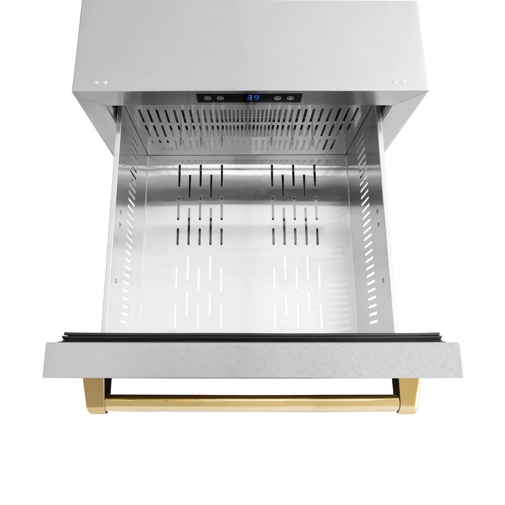ZLINE Autograph Edition 24 in. Touchstone 168 Can Outdoor-Rated Dual Refrigerator Drawer with Satin Stainless Steel Doors and Polished Gold Handles (RDSOZ-SN-24-G)