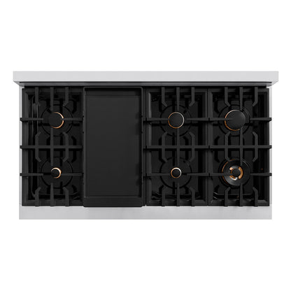 ZLINE Autograph Edition 48 in. Classic Gas Rangetop with 8 Burners and Porcelain Cooktop in Stainless Steel with Polished Gold Accents (RTZ-48-G)