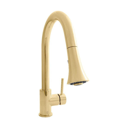 ZLINE Autograph Edition Edison Pull Down Single Handle Kitchen Faucet in Polished Gold (EDS-KF-PG)
