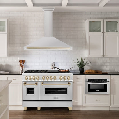 ZLINE Autograph Edition 48 in. Convertible Stainless Steel Range Hood with Stainless Steel Shell and Polished Gold Accents (KB4STZ-48-G)