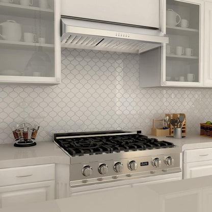 ZLINE 30 in. Ducted Under Cabinet Range Hood in Stainless Steel (623-30)