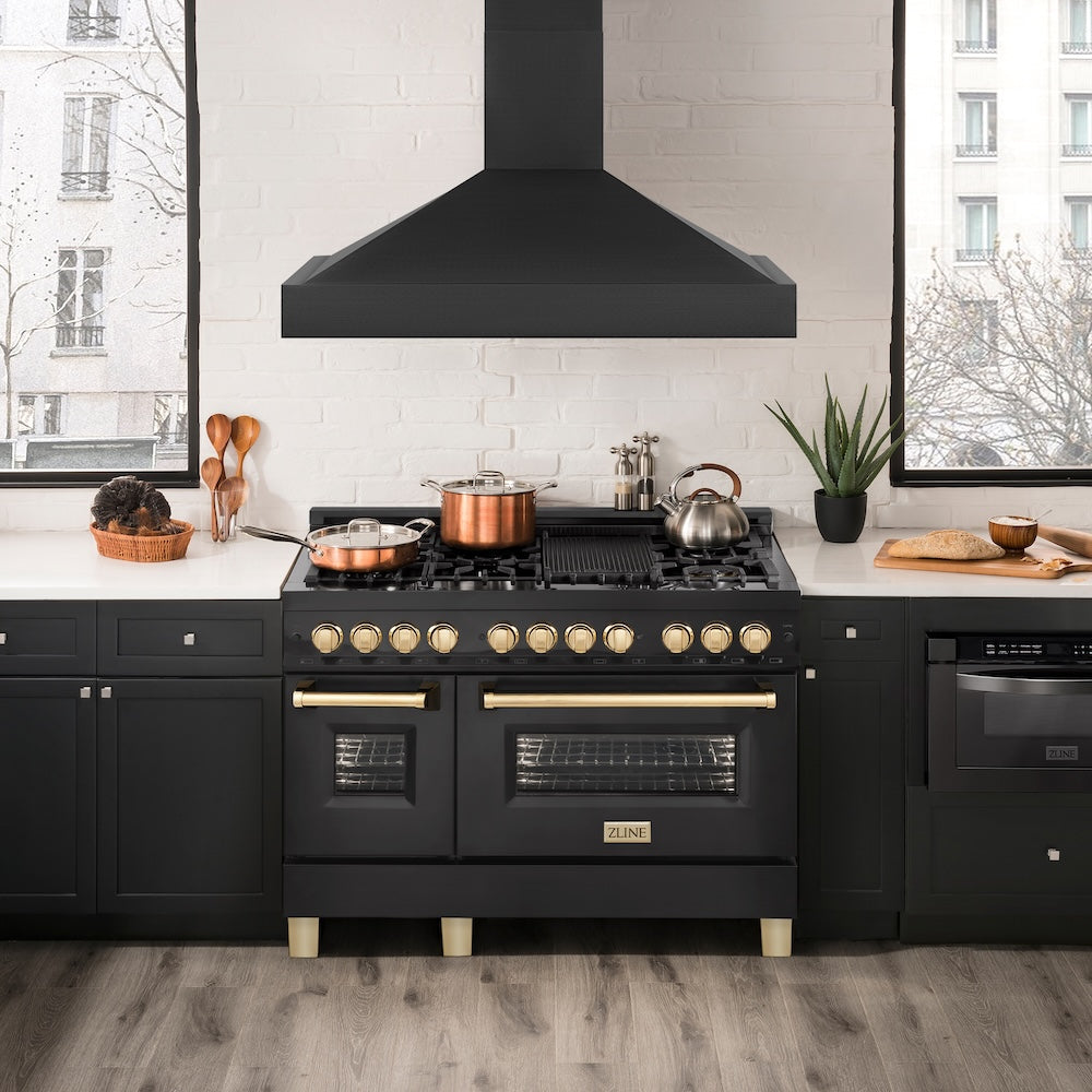 ZLINE 48 in. Ducted Vent Black Stainless Steel Wall Mount Range Hood (BS655N-48)