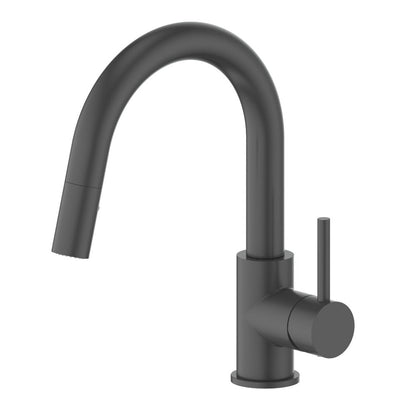 ZLINE Autograph Edition Dante Pull Down Single Handle Kitchen Faucet in Matte Black (DNT-KF-MB)