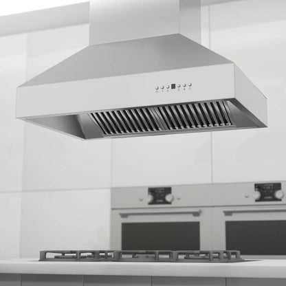 ZLINE 48 in. Ducted Island Mount Range Hood in Outdoor Approved Stainless Steel (697i-304-48)