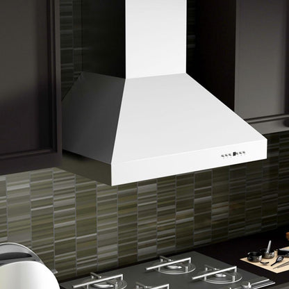 ZLINE 48 in. Outdoor Ducted Wall Mount Range Hood in Outdoor Approved Stainless Steel (667-304-48)
