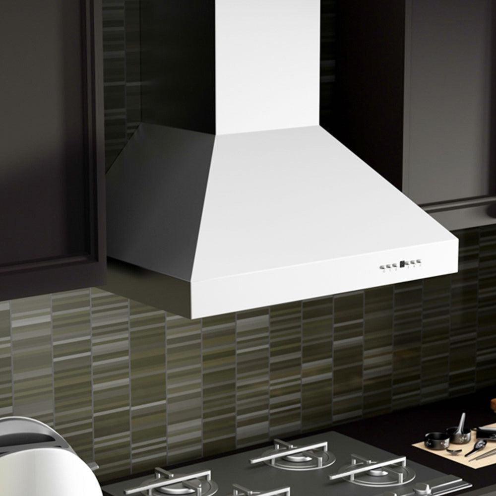 ZLINE 42 in. Ducted Wall Mount Range Hood in Outdoor Approved Stainless Steel (697-304-42)