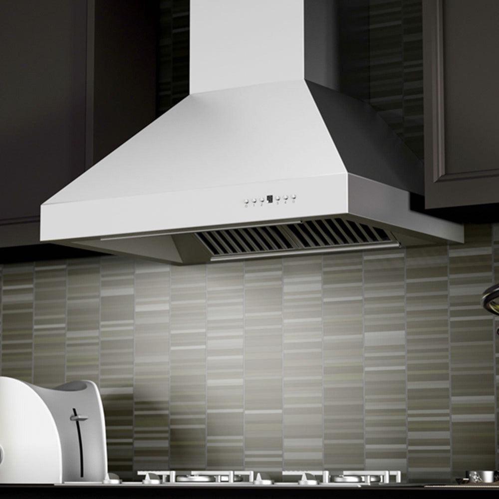 ZLINE 30 in. Convertible Vent Wall Mount Range Hood in Outdoor Approved Stainless Steel (697-304-30)