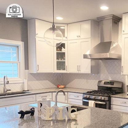 ZLINE 42 in. Professional Ducted Vent Wall Mount Range Hood in Stainless Steel (667-42)